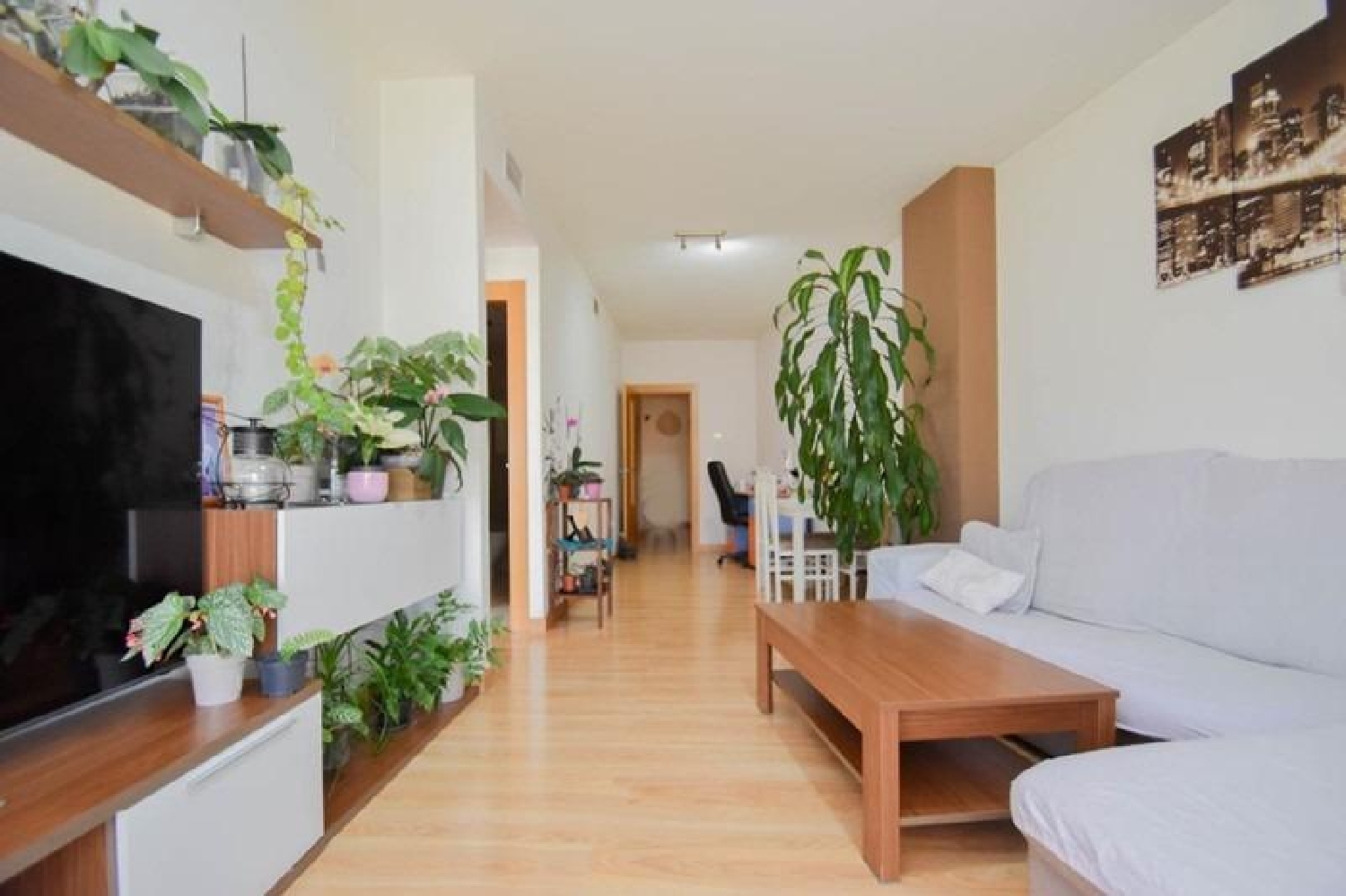  kaufen Wohnung El Pocico Accitania 5