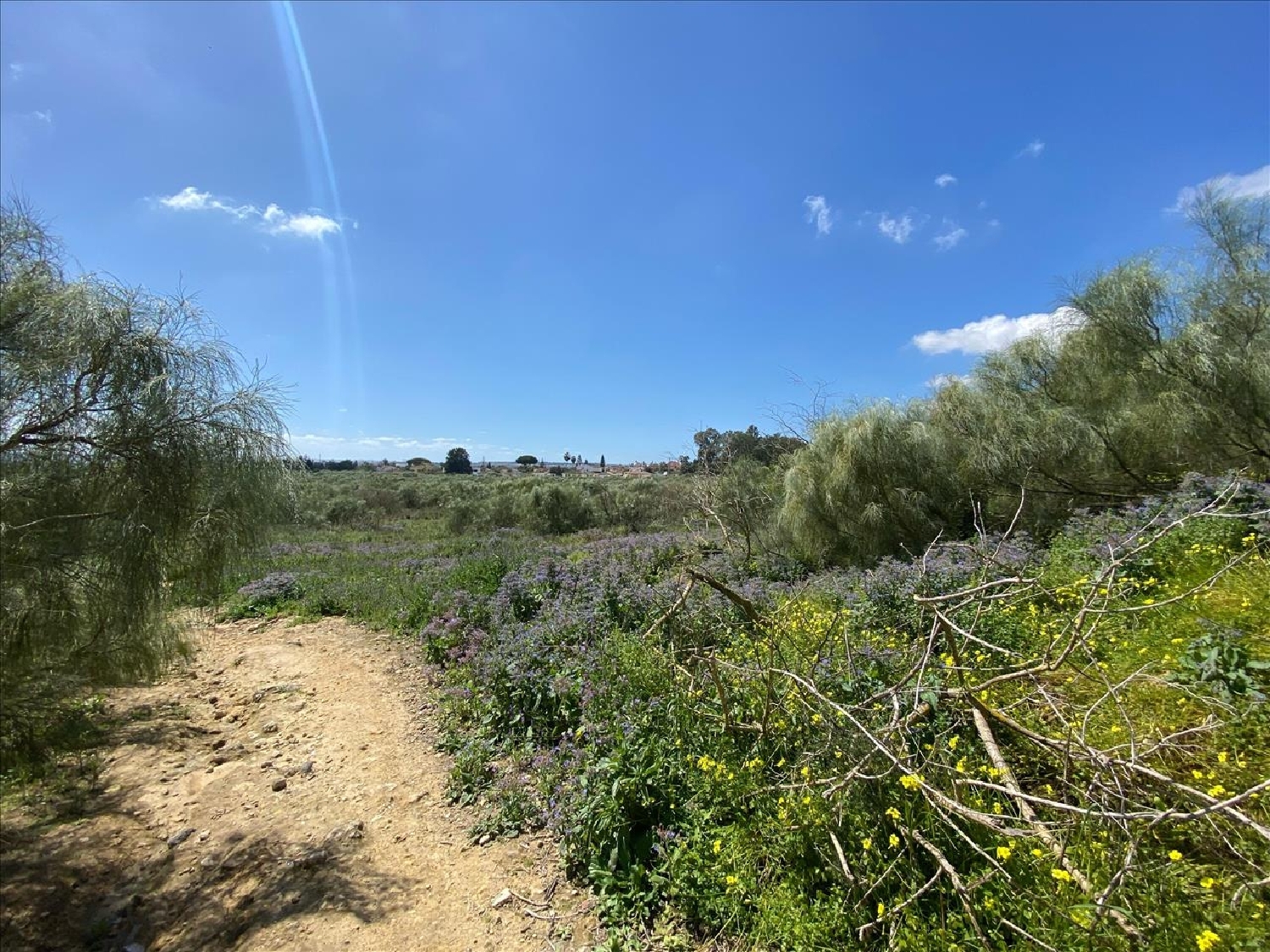  en venta apartamento El Puerto De Santa Maria Bahía De Cádiz 5