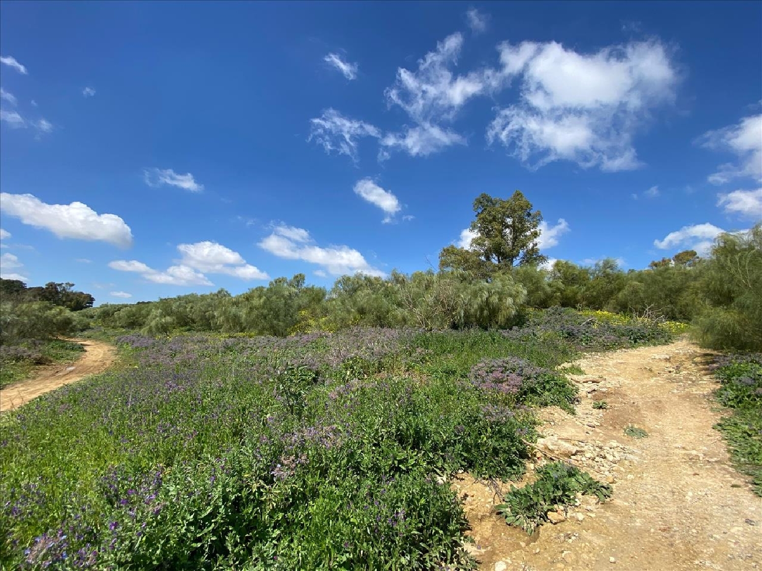  en venta apartamento El Puerto De Santa Maria Bahía De Cádiz 1