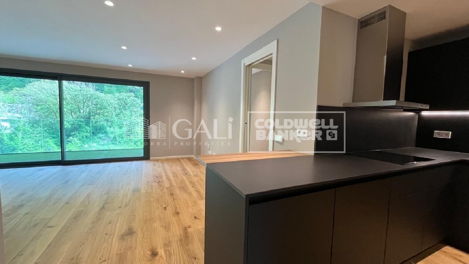  for sale apartment Escaldes-Engordany Escaldes-Engordany 1