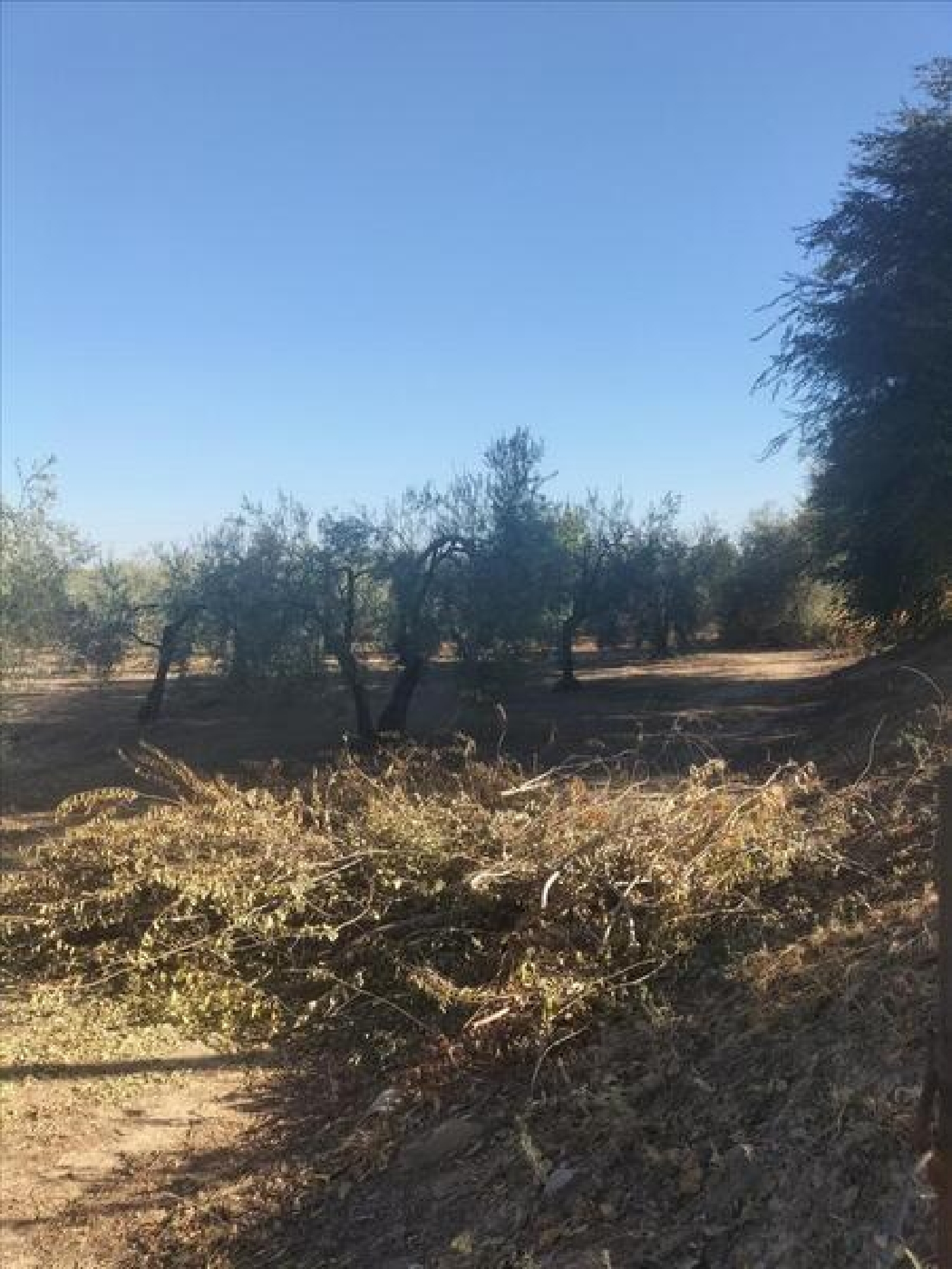  en venta apartamento Espartinas Metropolitana De Sevilla 2