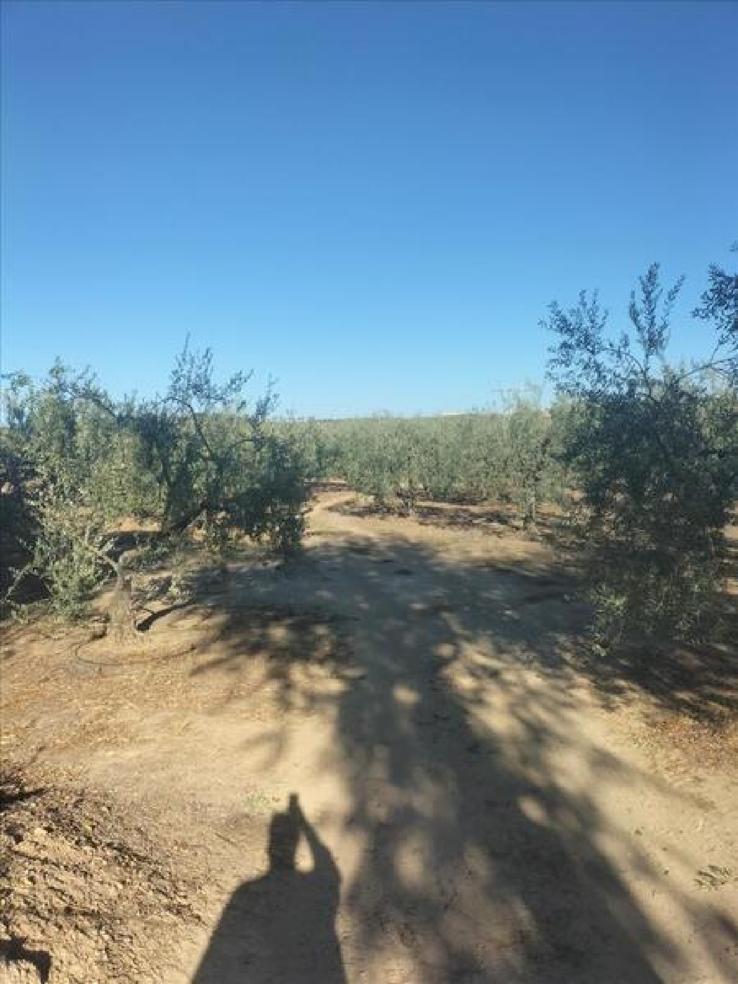  en venta apartamento Espartinas Metropolitana De Sevilla 1