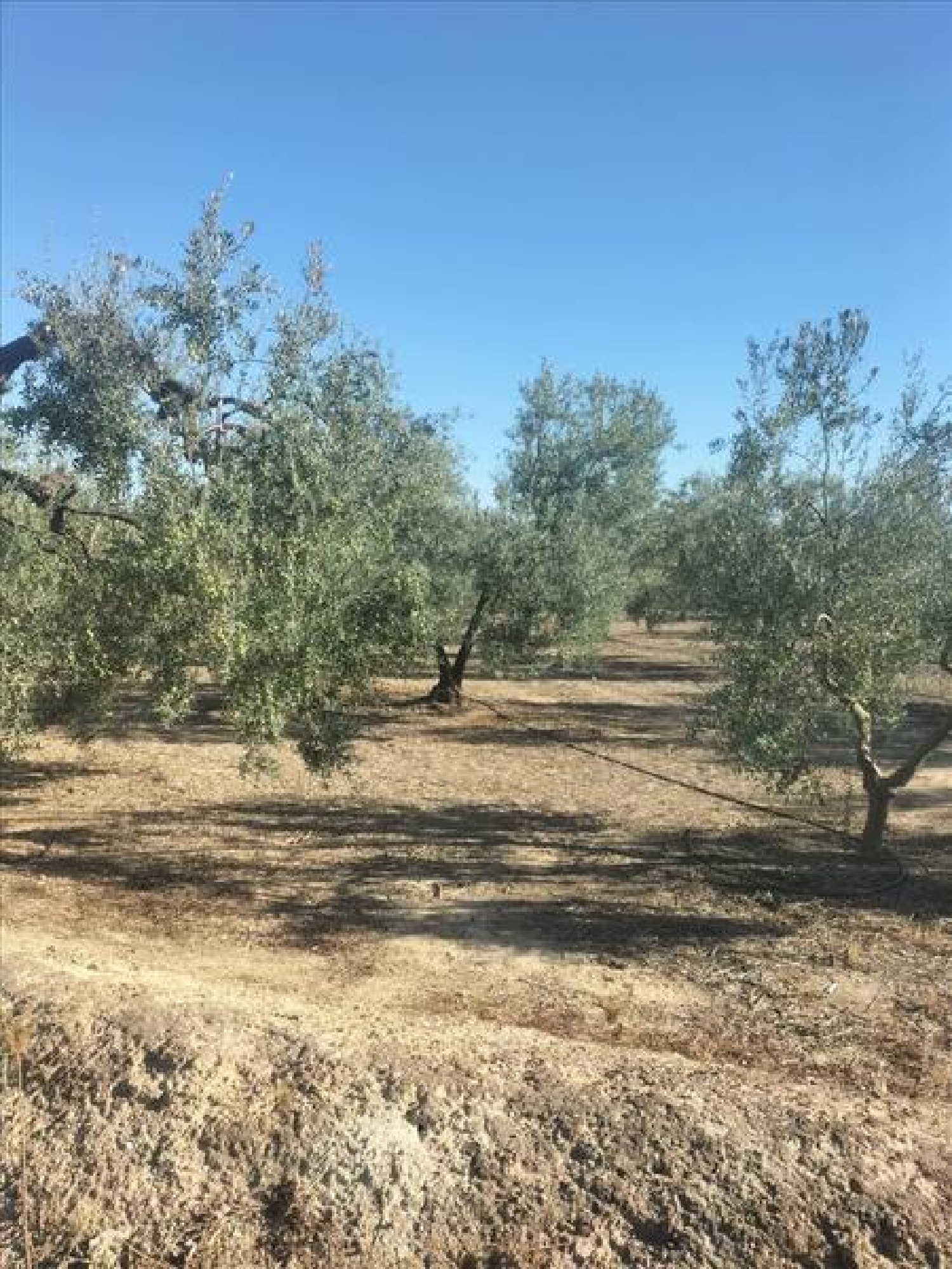  en venta apartamento Espartinas Metropolitana De Sevilla 5