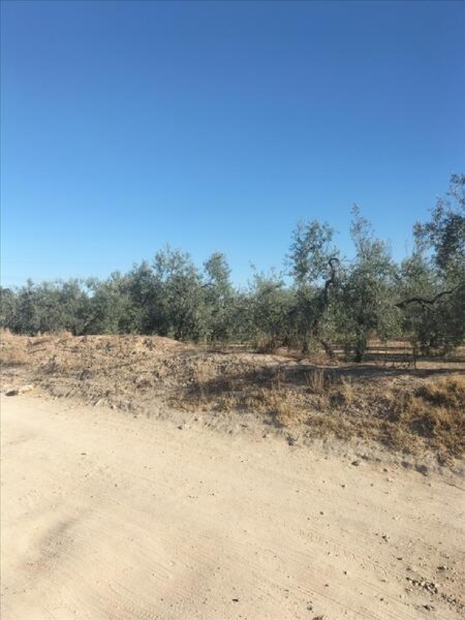  en venta apartamento Espartinas Metropolitana De Sevilla 4