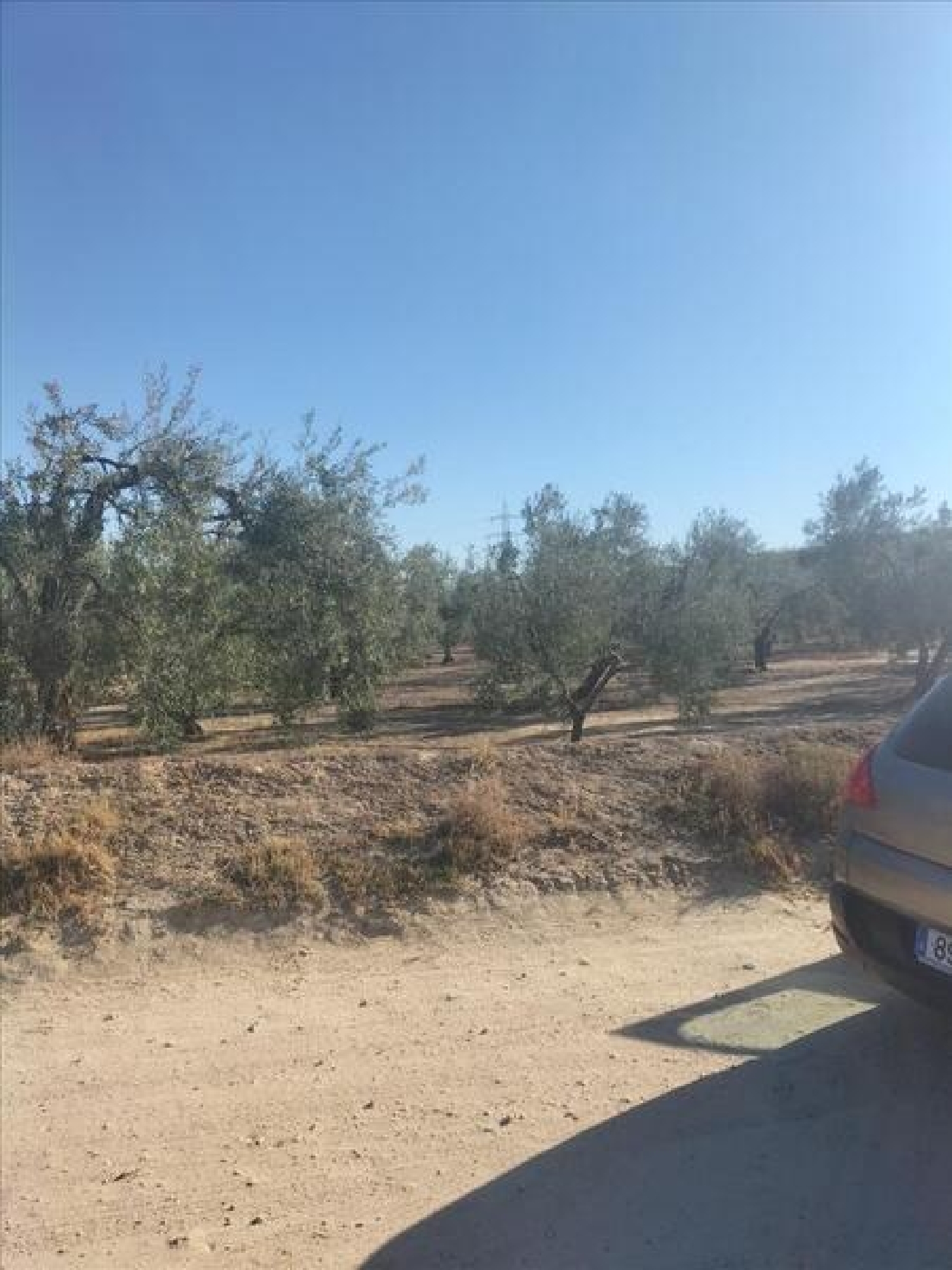  en venta apartamento Espartinas Metropolitana De Sevilla 3