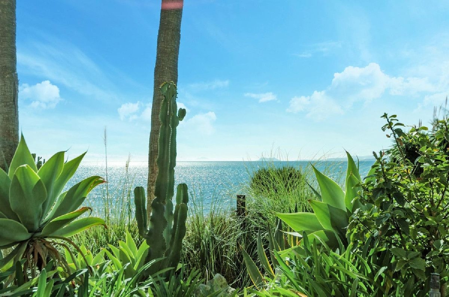  en venta apartamento Estepona Costa Del Sol Occidental 4