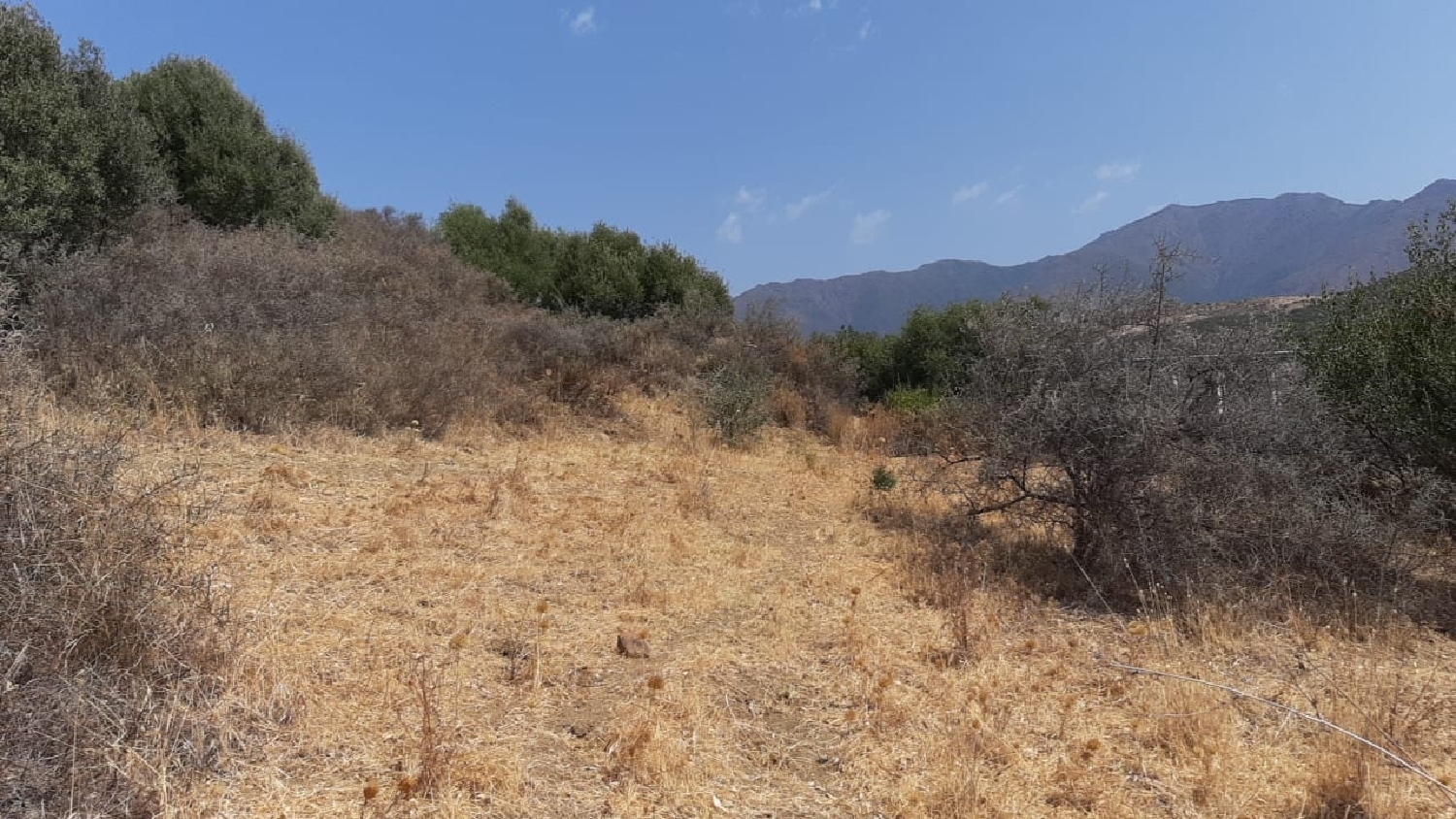  en venta apartamento Estepona Costa Del Sol Occidental 1