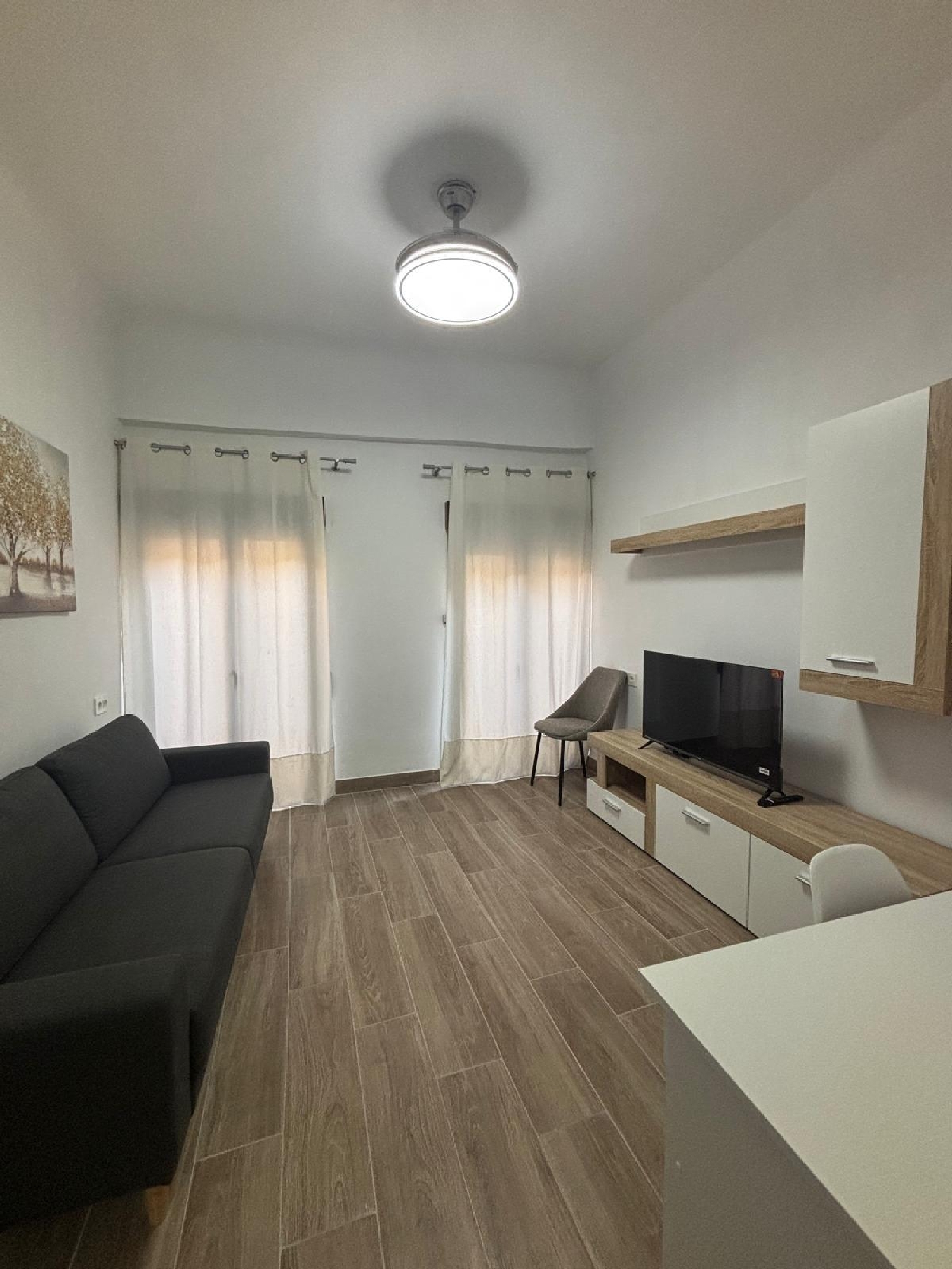  te koop appartement Granada Vega De Granada 4