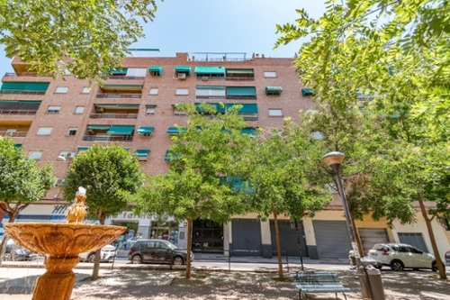 Granada Vega De Granada apartment foto 6278466