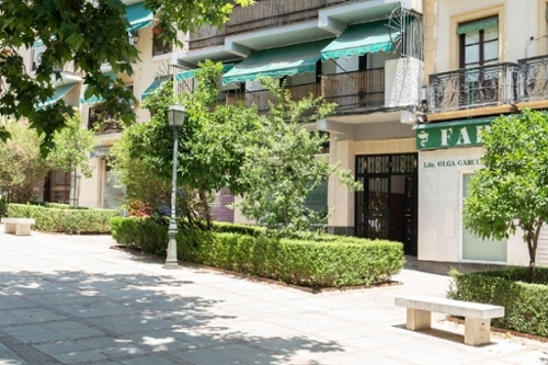 Granada Vega De Granada apartamento foto 6275979