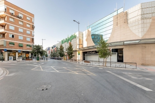 Granada Vega De Granada apartment foto 6283409