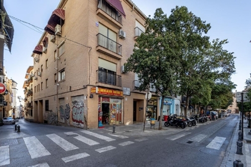 Granada Vega De Granada apartment foto 6283423
