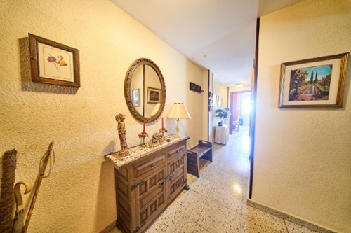 Granada Vega De Granada apartment foto 6278806