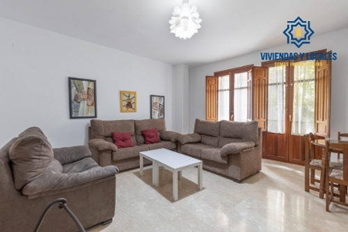 Granada Vega De Granada apartment foto 6283451
