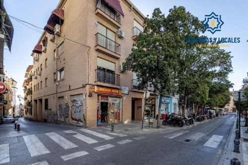Granada Vega De Granada apartment foto 6283454
