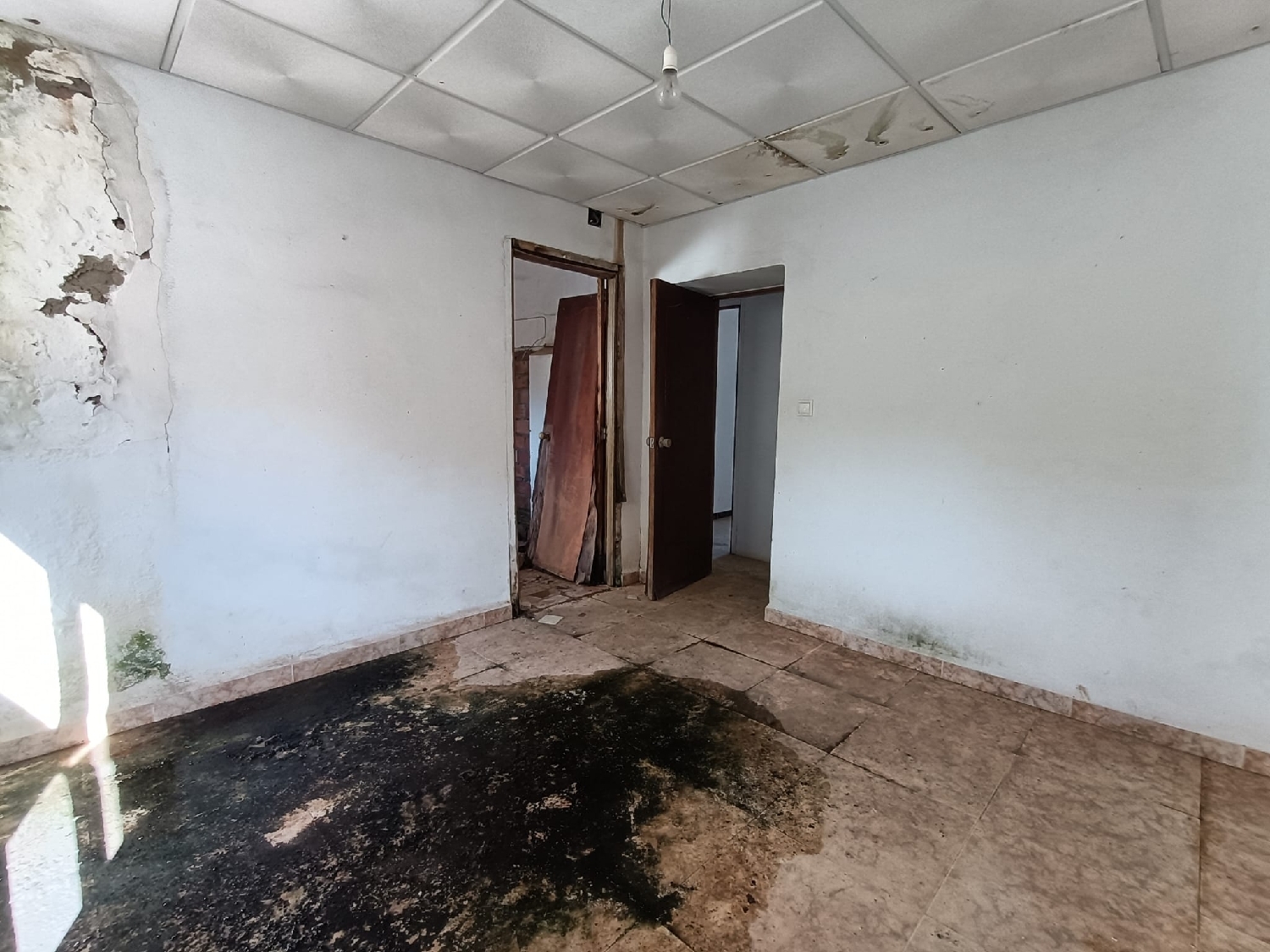  en venta apartamento Guadalcazar Valle Medio Del Guadalquivir 5