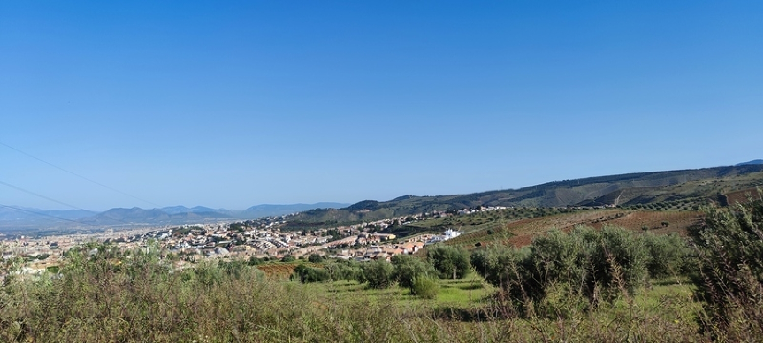 te koop appartement Huétor Vega Vega De Granada 3