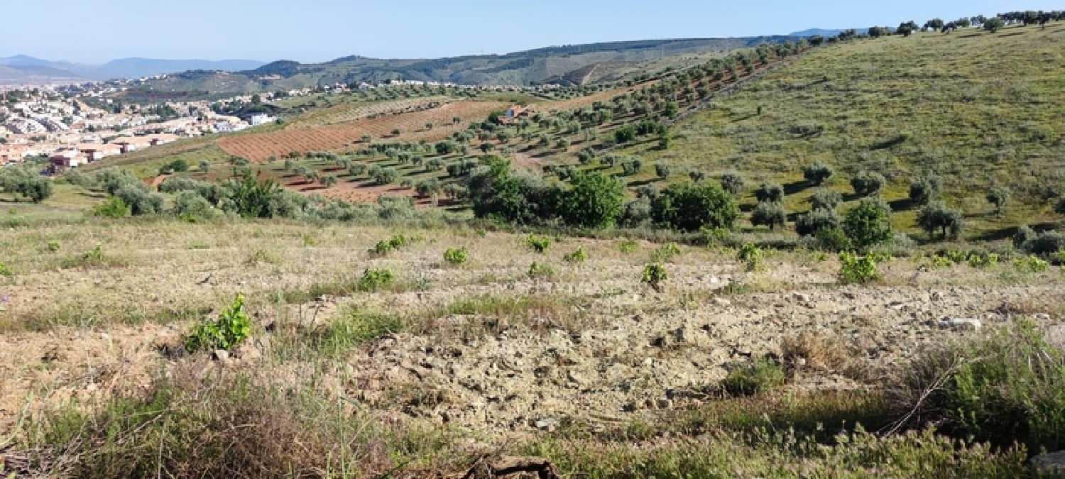  kaufen Wohnung Huétor Vega Vega De Granada 1