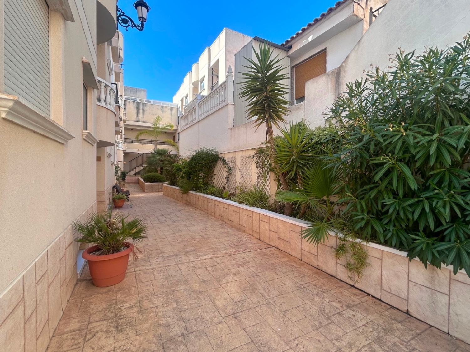  for sale apartment Jacarilla Baix Segura 4