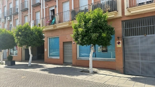 La Algaba Vega Del Guadalquivir apartamento foto 6272645