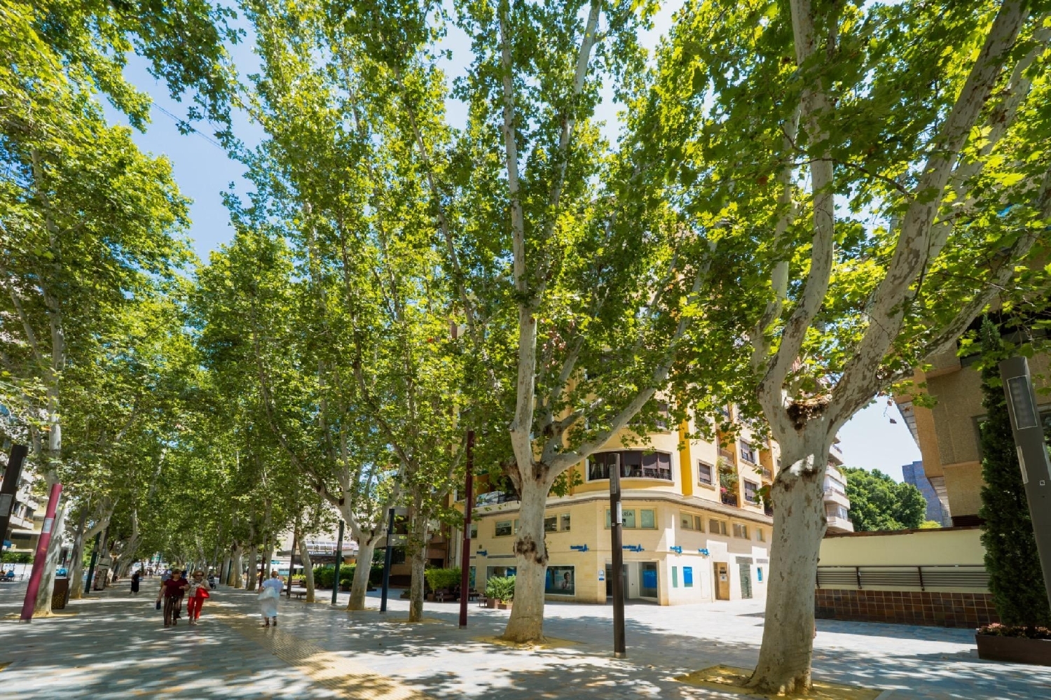 kaufen Wohnung La Flota Huerta De Murcia 2