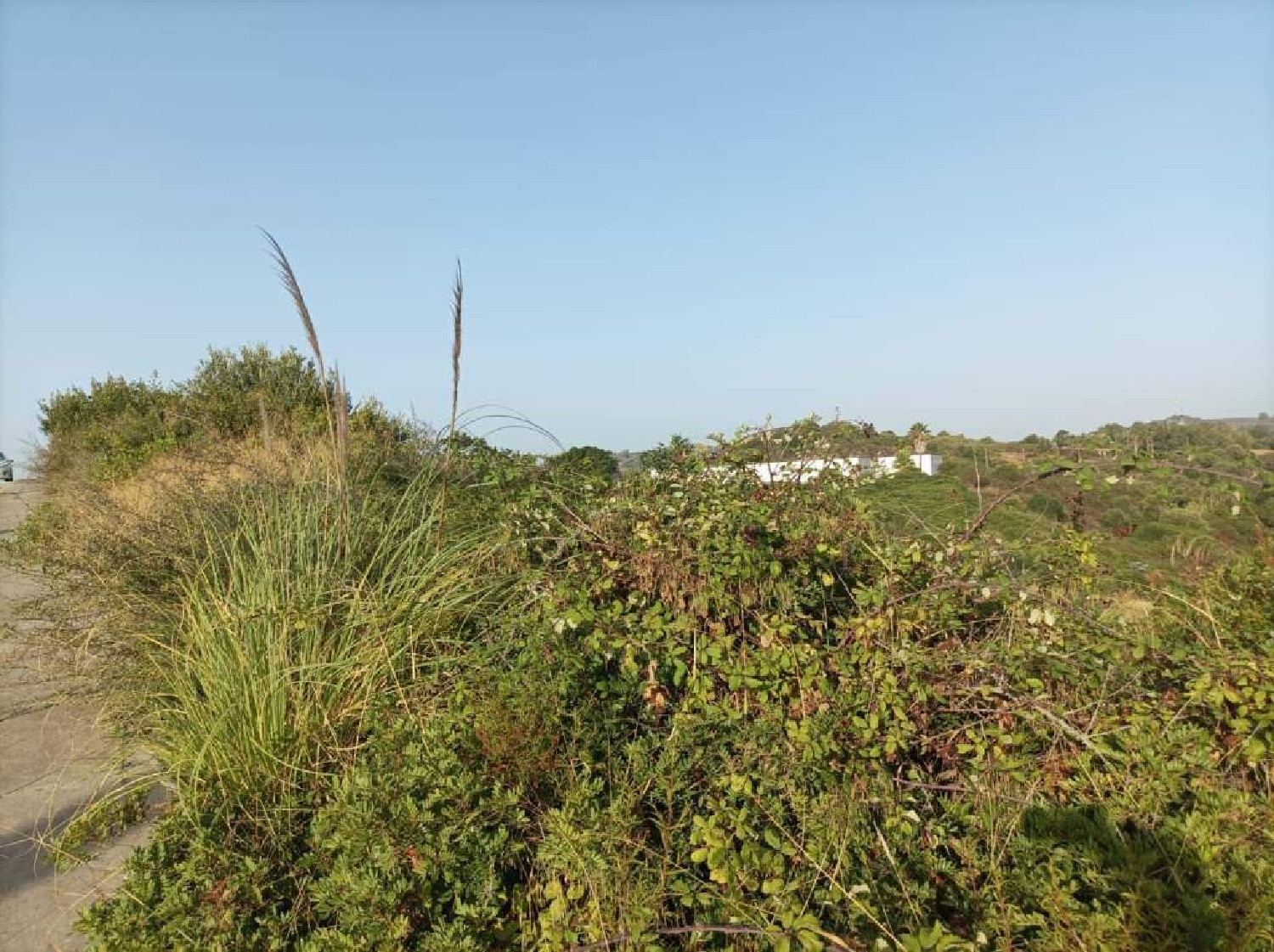  till salu lägenhet La Linea De La Concepcion Campo De Gibraltar 5