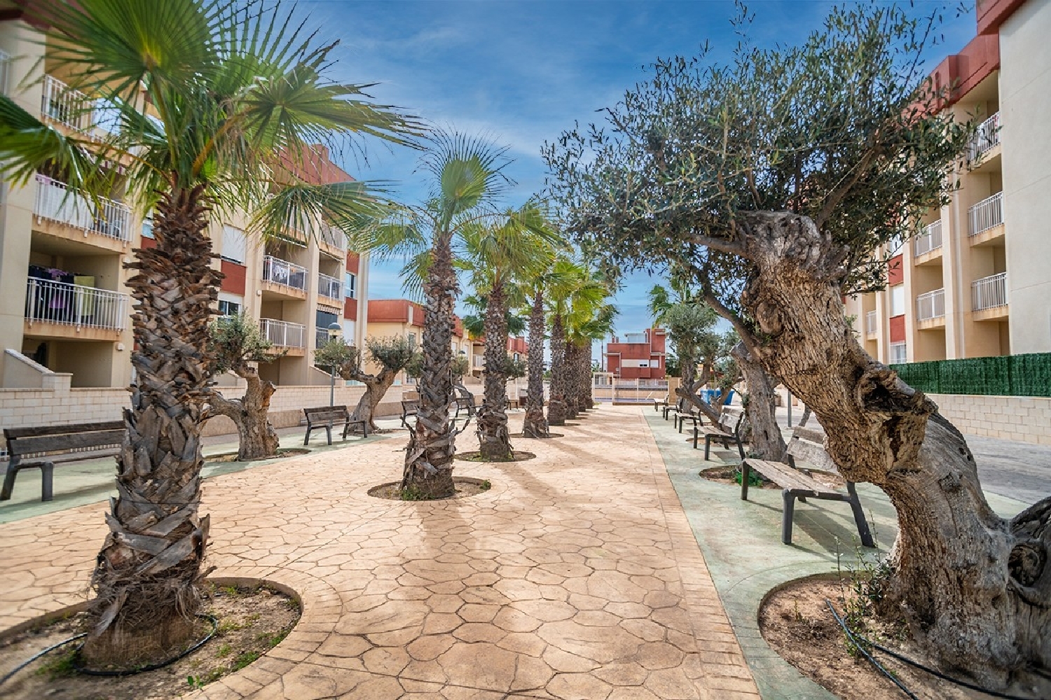  te koop appartement La Sectores Cuerda Y Lomas De Cabo Roig Baix Segura 5