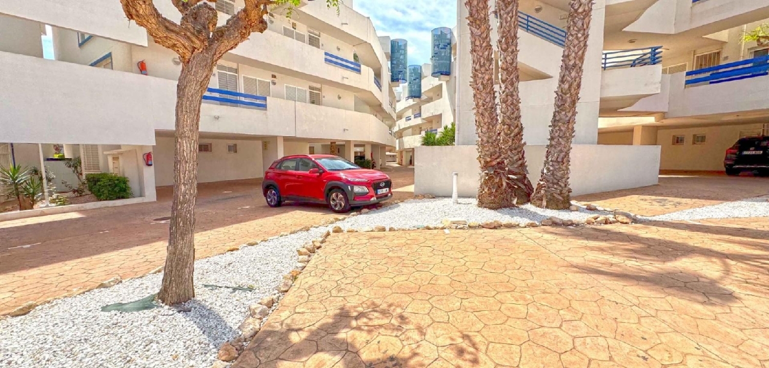  en venta apartamento Las Filipinas Baix Segura 8