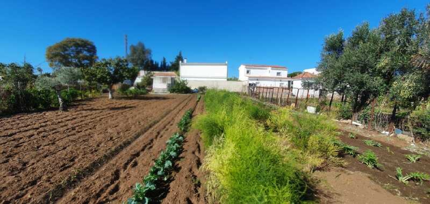 kaufen Wohnung Lomopardo Campiña De Jerez 3
