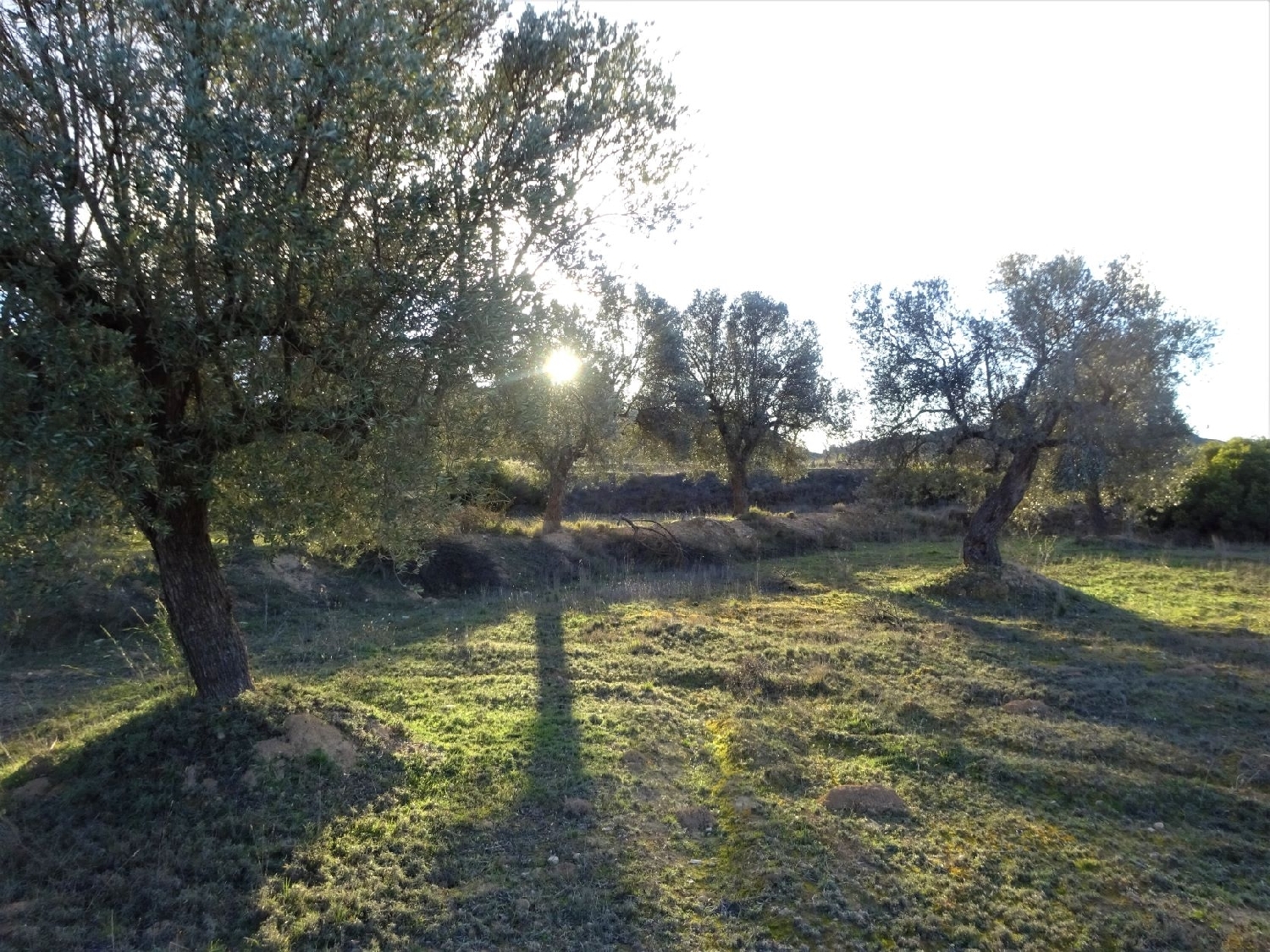  kaufen Wohnung Maella Bajo Aragón-Caspe 3