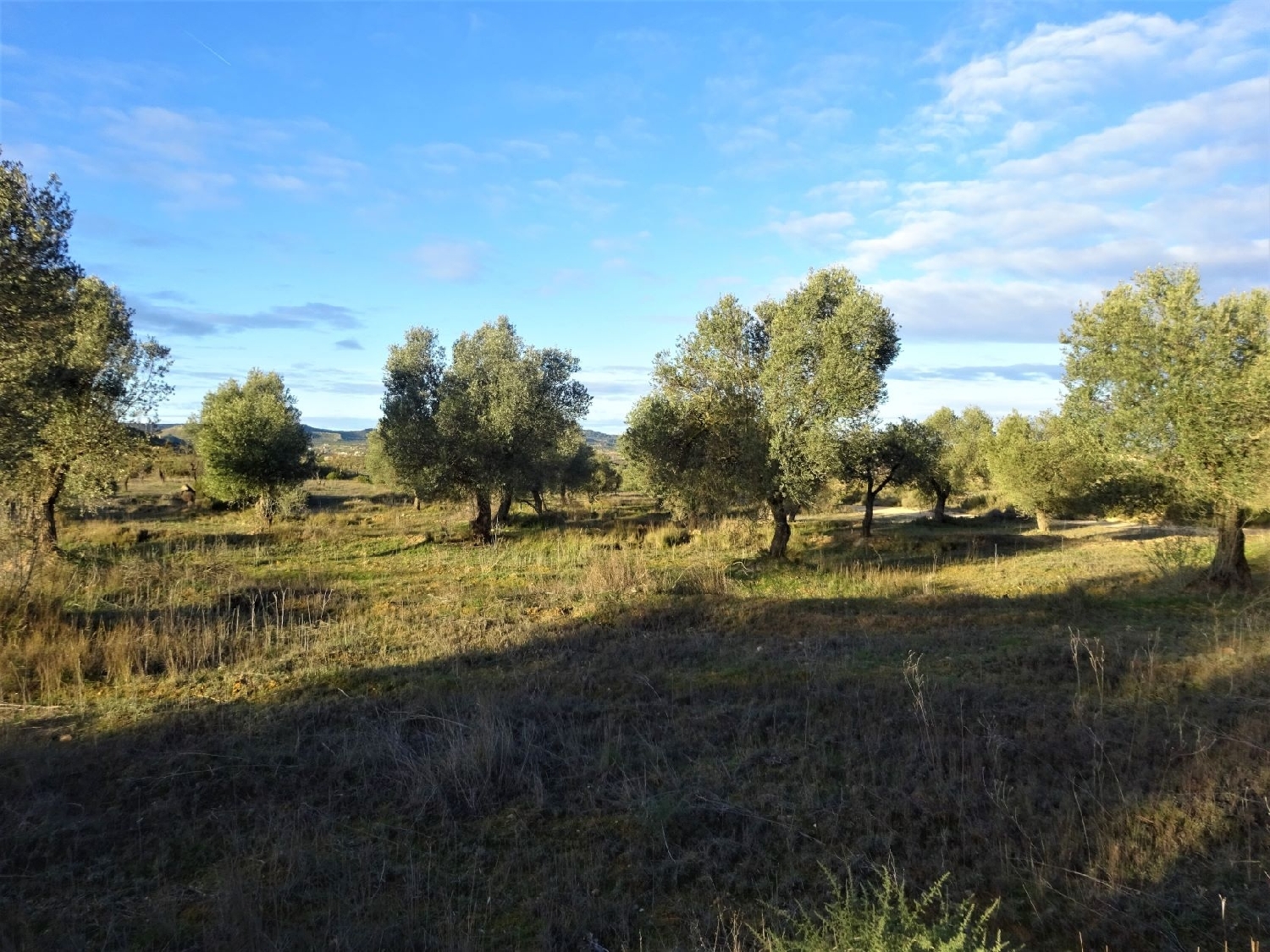  kaufen Wohnung Maella Bajo Aragón-Caspe 12
