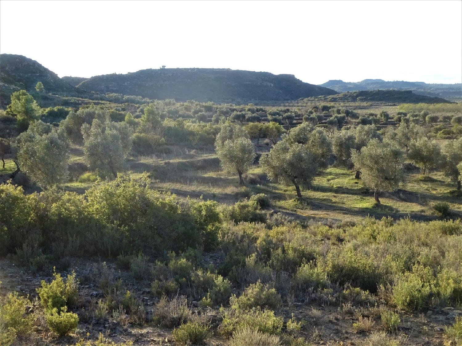  kaufen Wohnung Maella Bajo Aragón-Caspe 14