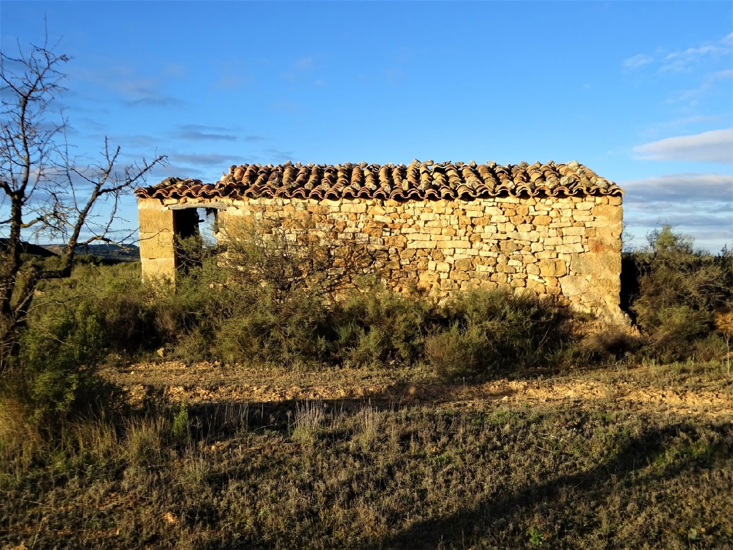  kaufen Wohnung Maella Bajo Aragón-Caspe 8