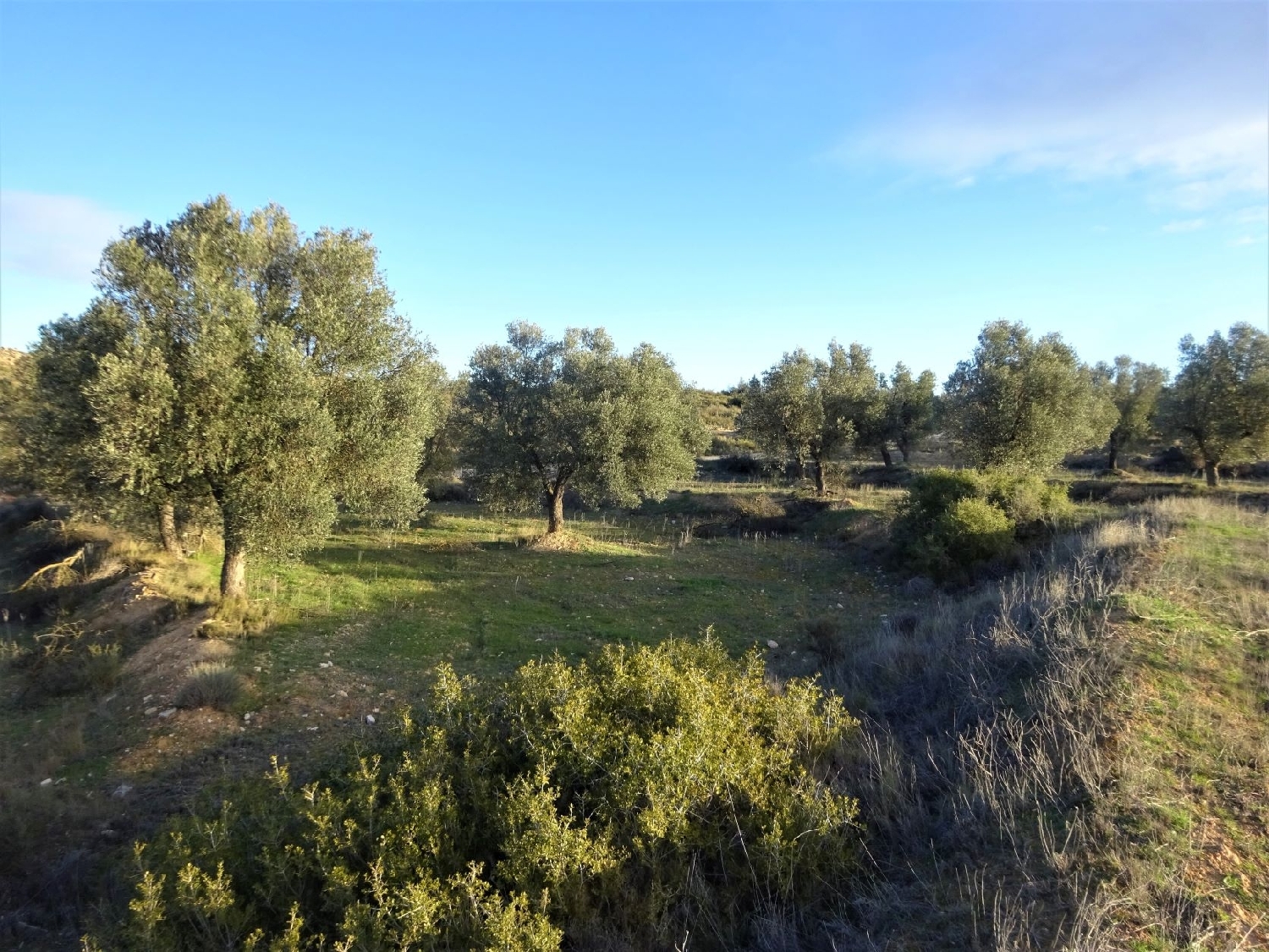  kaufen Wohnung Maella Bajo Aragón-Caspe 4