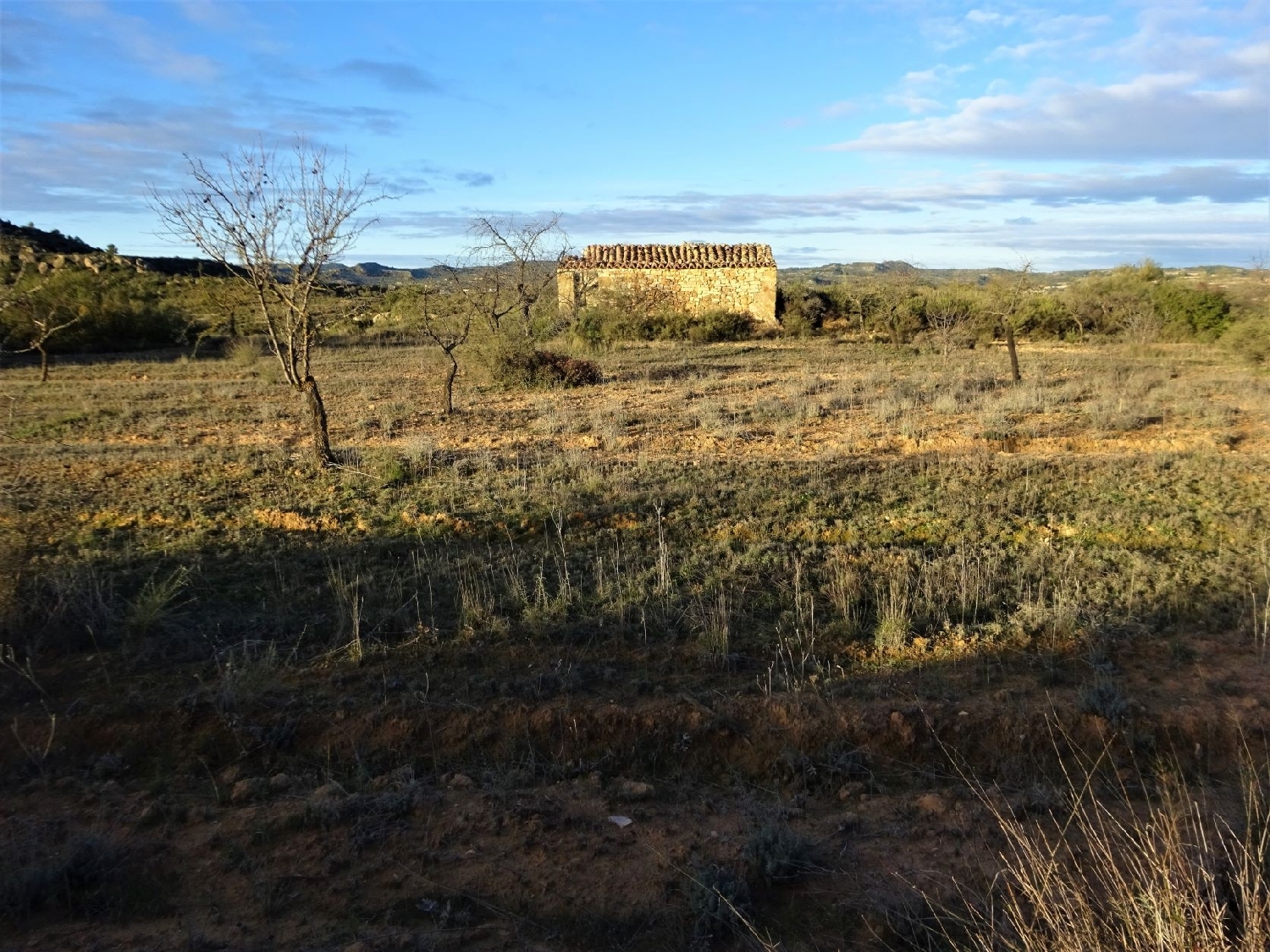  kaufen Wohnung Maella Bajo Aragón-Caspe 7