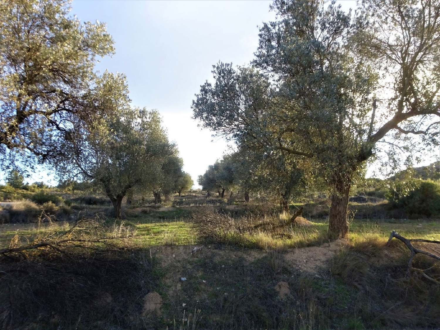  kaufen Wohnung Maella Bajo Aragón-Caspe 5