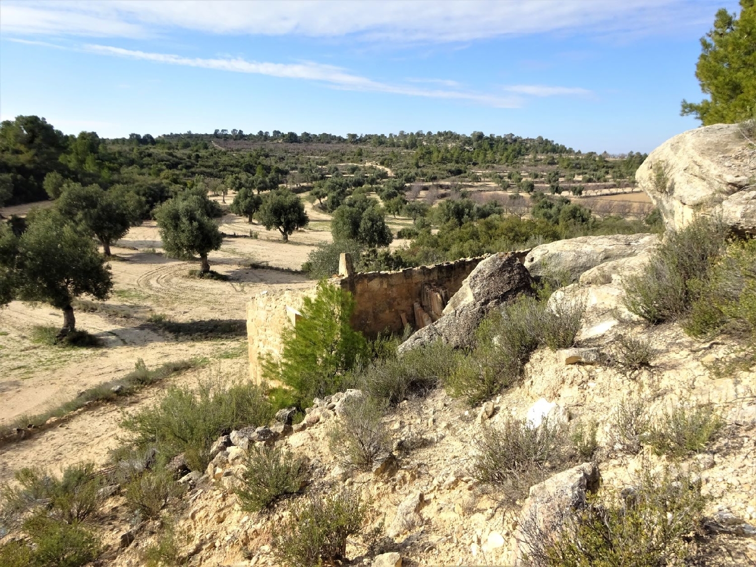  kaufen Wohnung Maella Bajo Aragón-Caspe 7