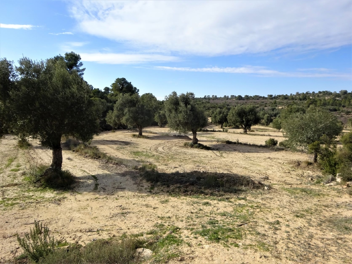  kaufen Wohnung Maella Bajo Aragón-Caspe 6