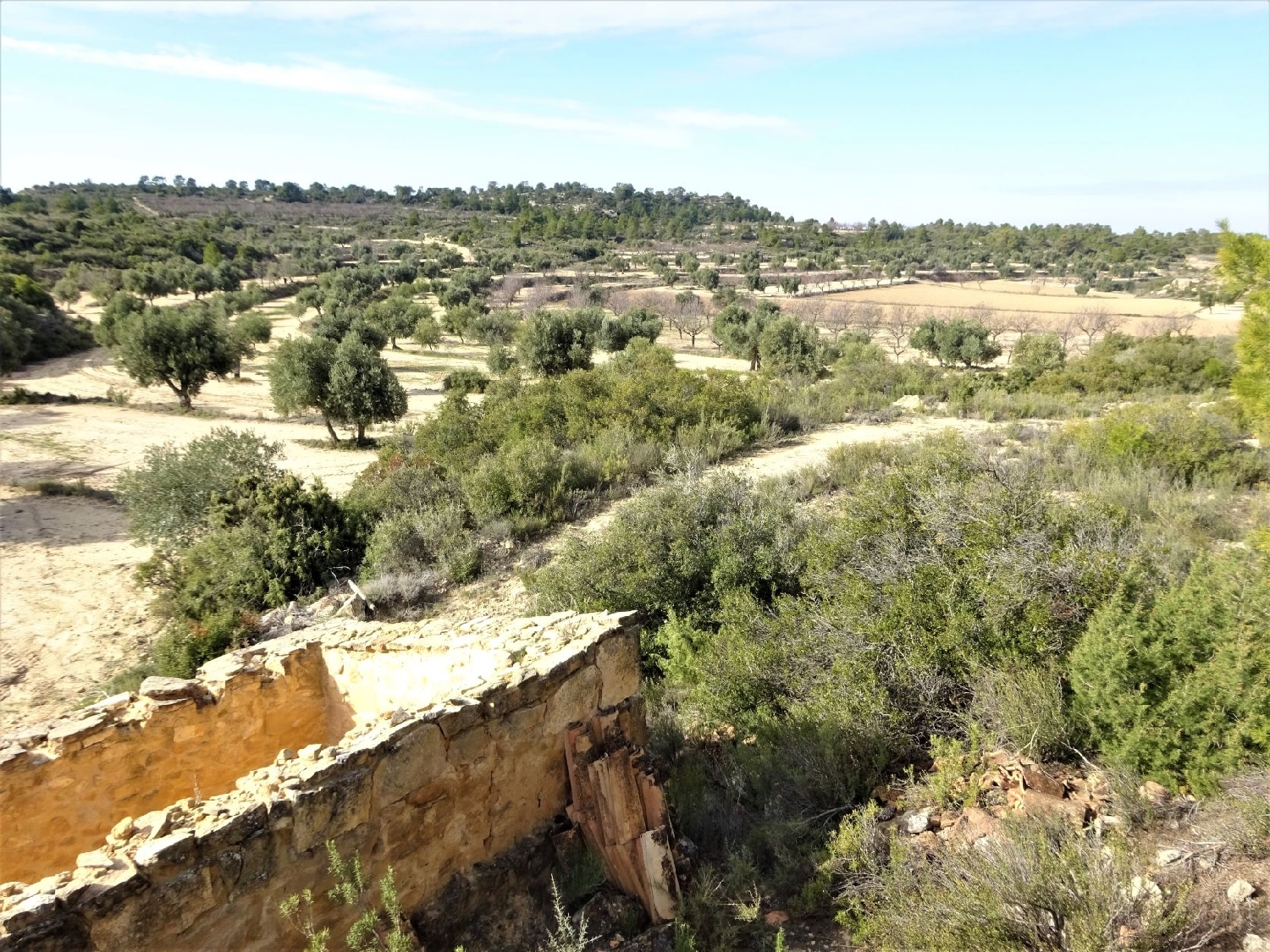  kaufen Wohnung Maella Bajo Aragón-Caspe 10
