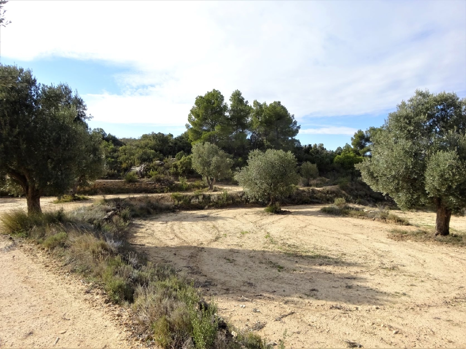  kaufen Wohnung Maella Bajo Aragón-Caspe 13