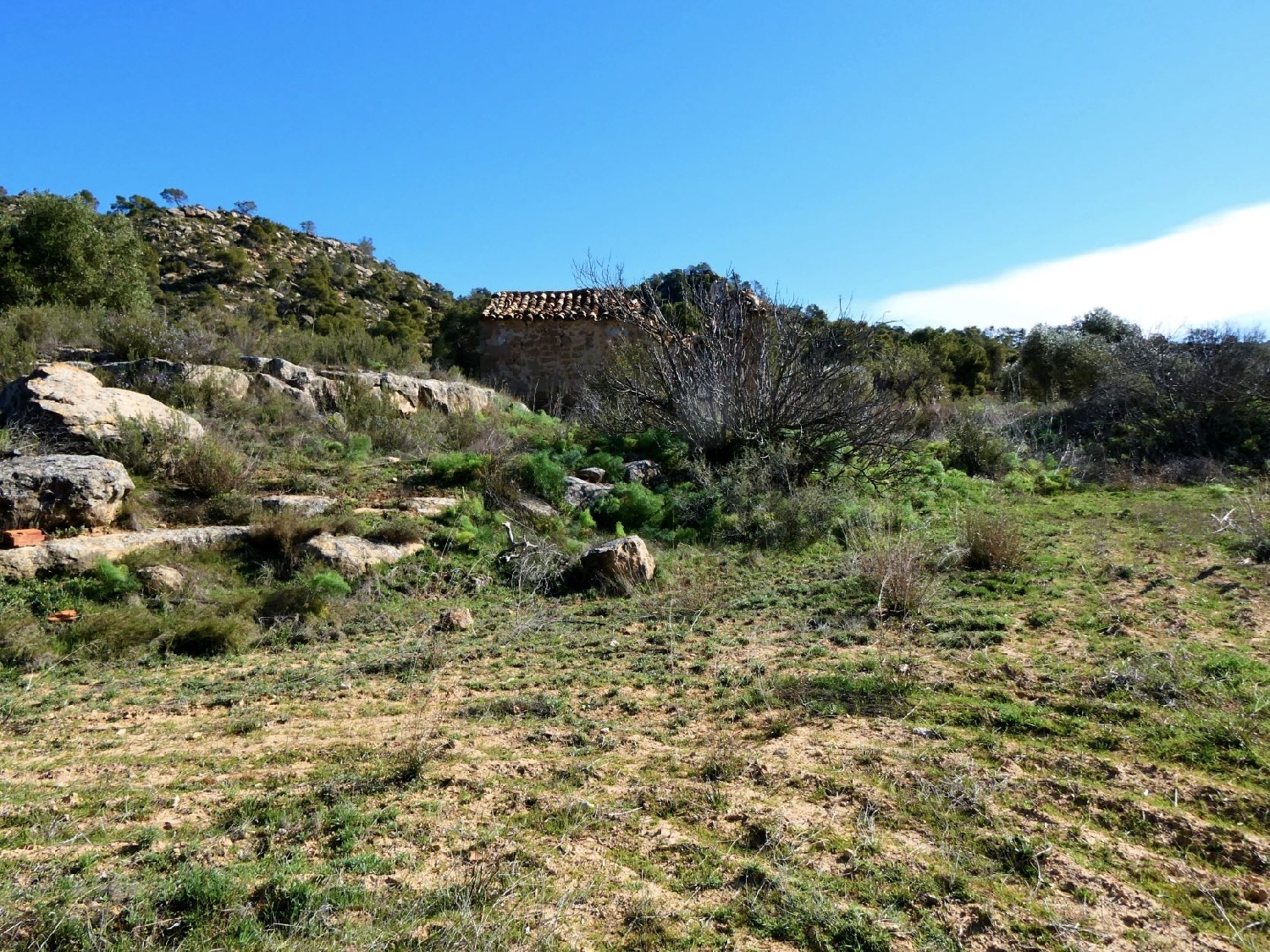  kaufen Wohnung Maella Bajo Aragón-Caspe 12