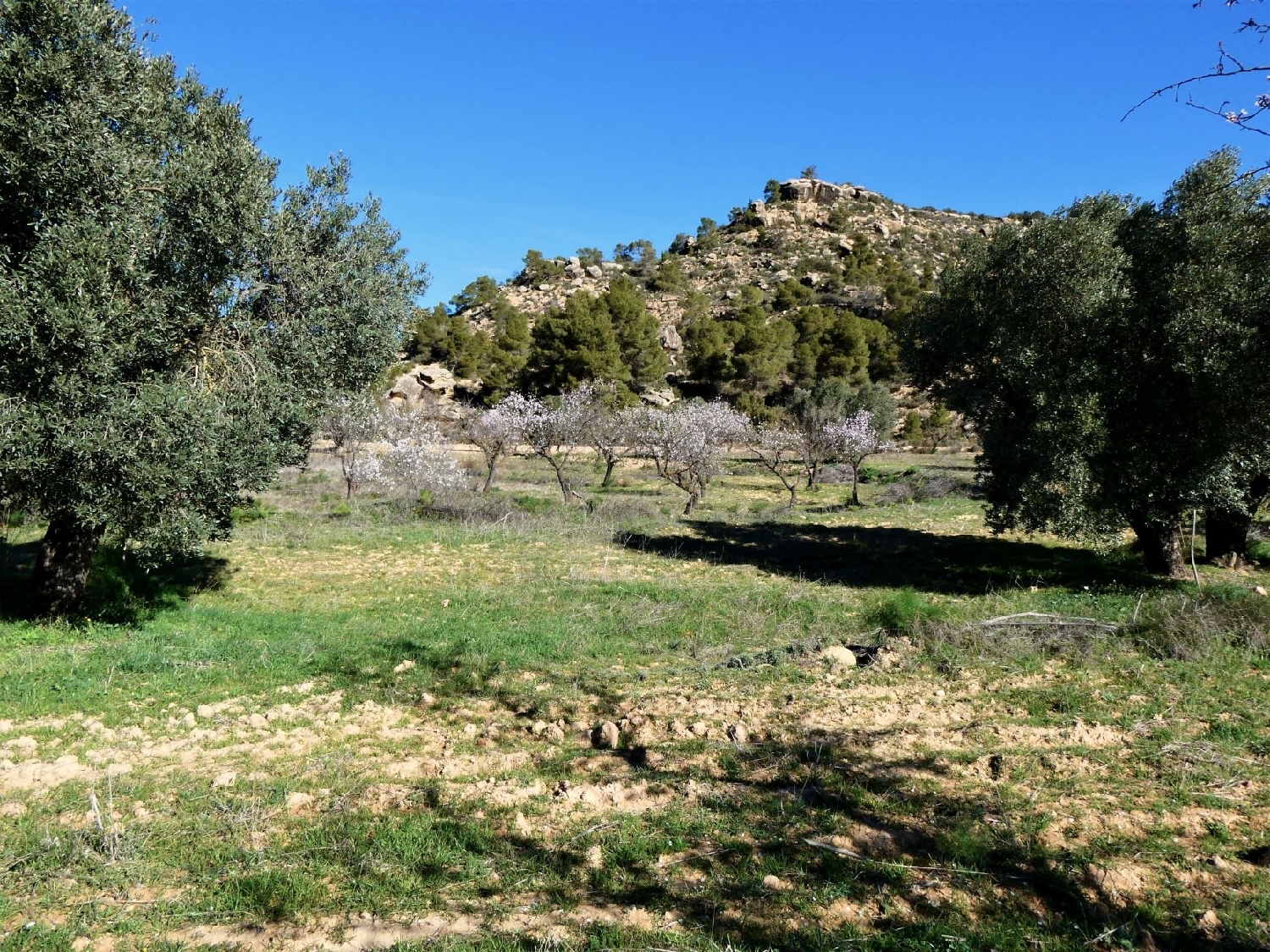 kaufen Wohnung Maella Bajo Aragón-Caspe 15