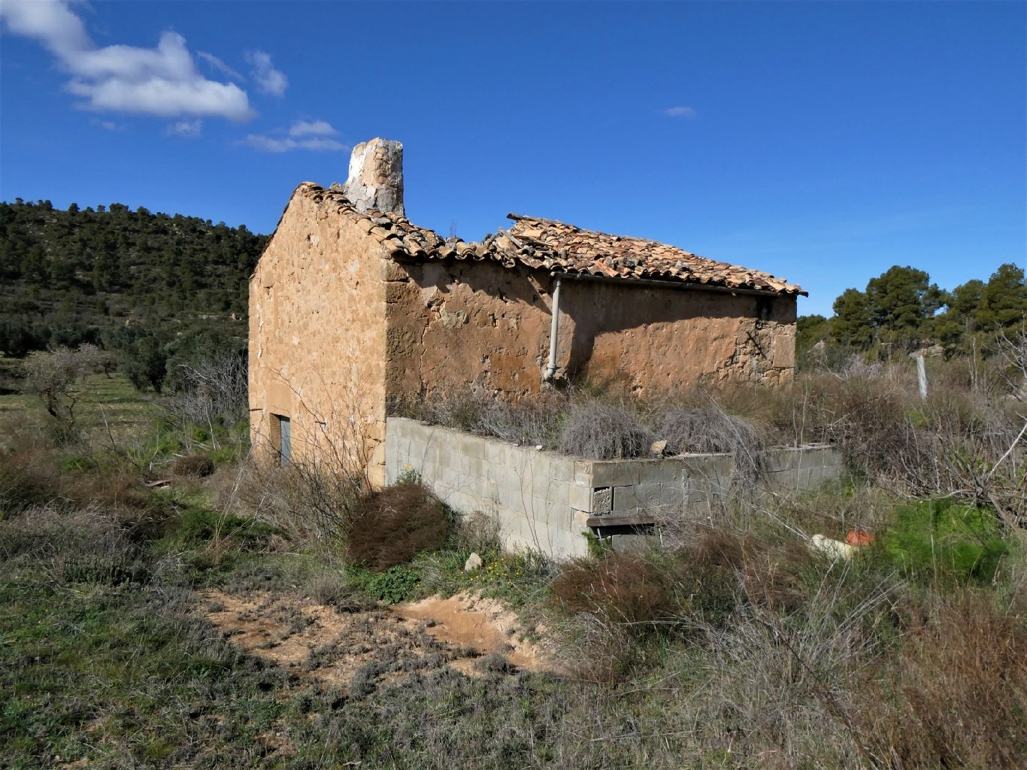  kaufen Wohnung Maella Bajo Aragón-Caspe 5