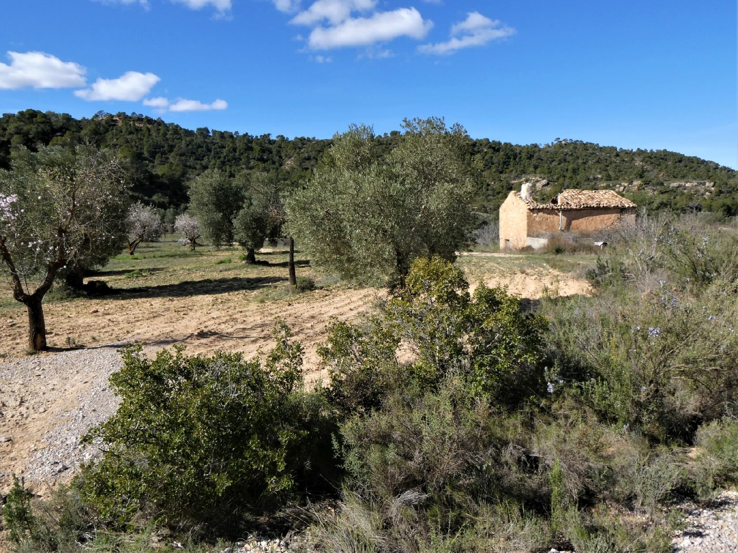  kaufen Wohnung Maella Bajo Aragón-Caspe 2