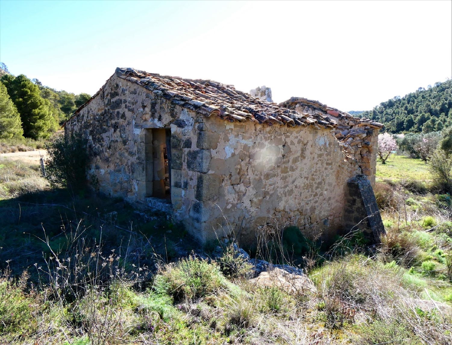  kaufen Wohnung Maella Bajo Aragón-Caspe 9