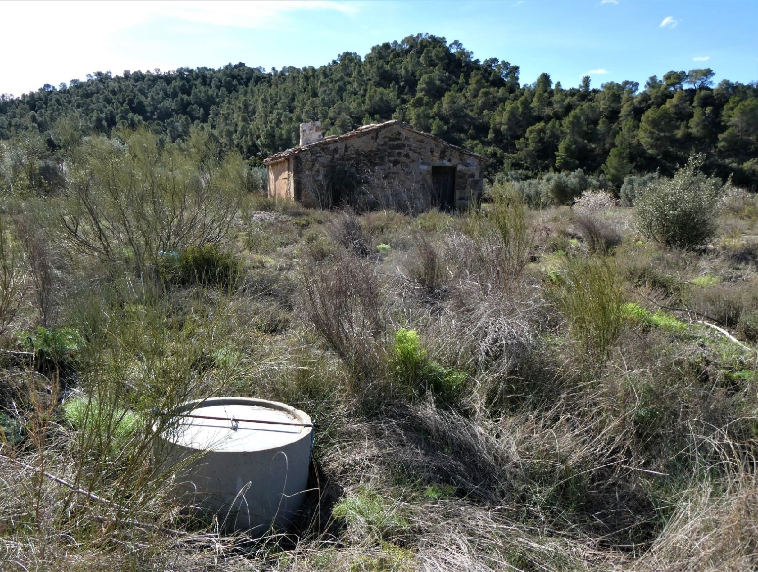  kaufen Wohnung Maella Bajo Aragón-Caspe 6