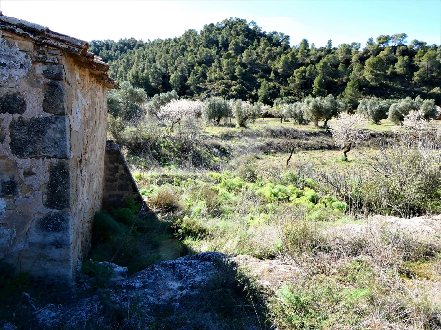  kaufen Wohnung Maella Bajo Aragón-Caspe 10