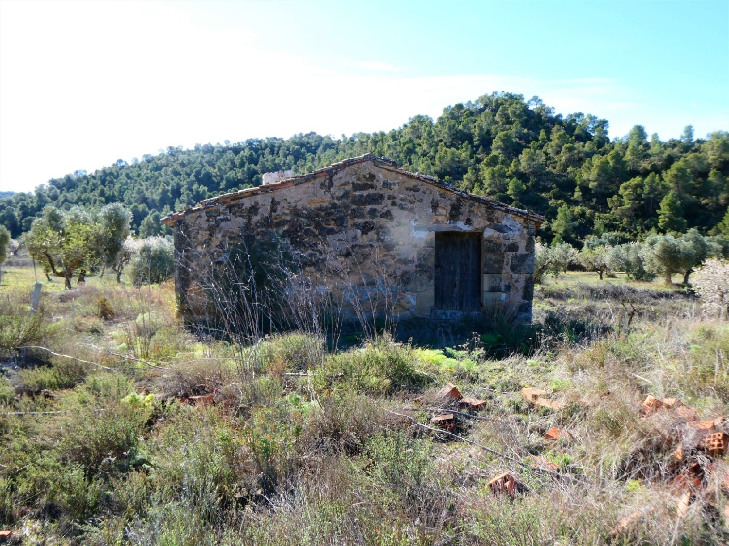  kaufen Wohnung Maella Bajo Aragón-Caspe 7