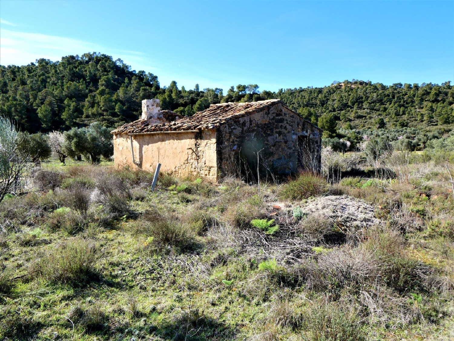  kaufen Wohnung Maella Bajo Aragón-Caspe 1