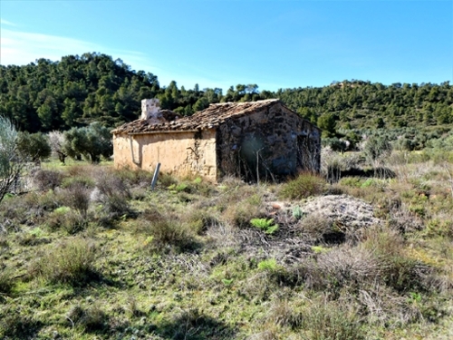 Maella Bajo Aragón-Caspe Wohnung Bild 6271088
